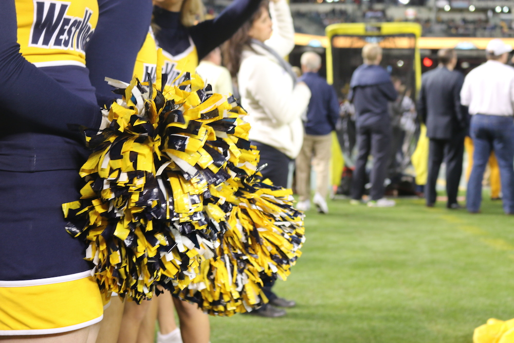 WestVirginiaPomPoms
