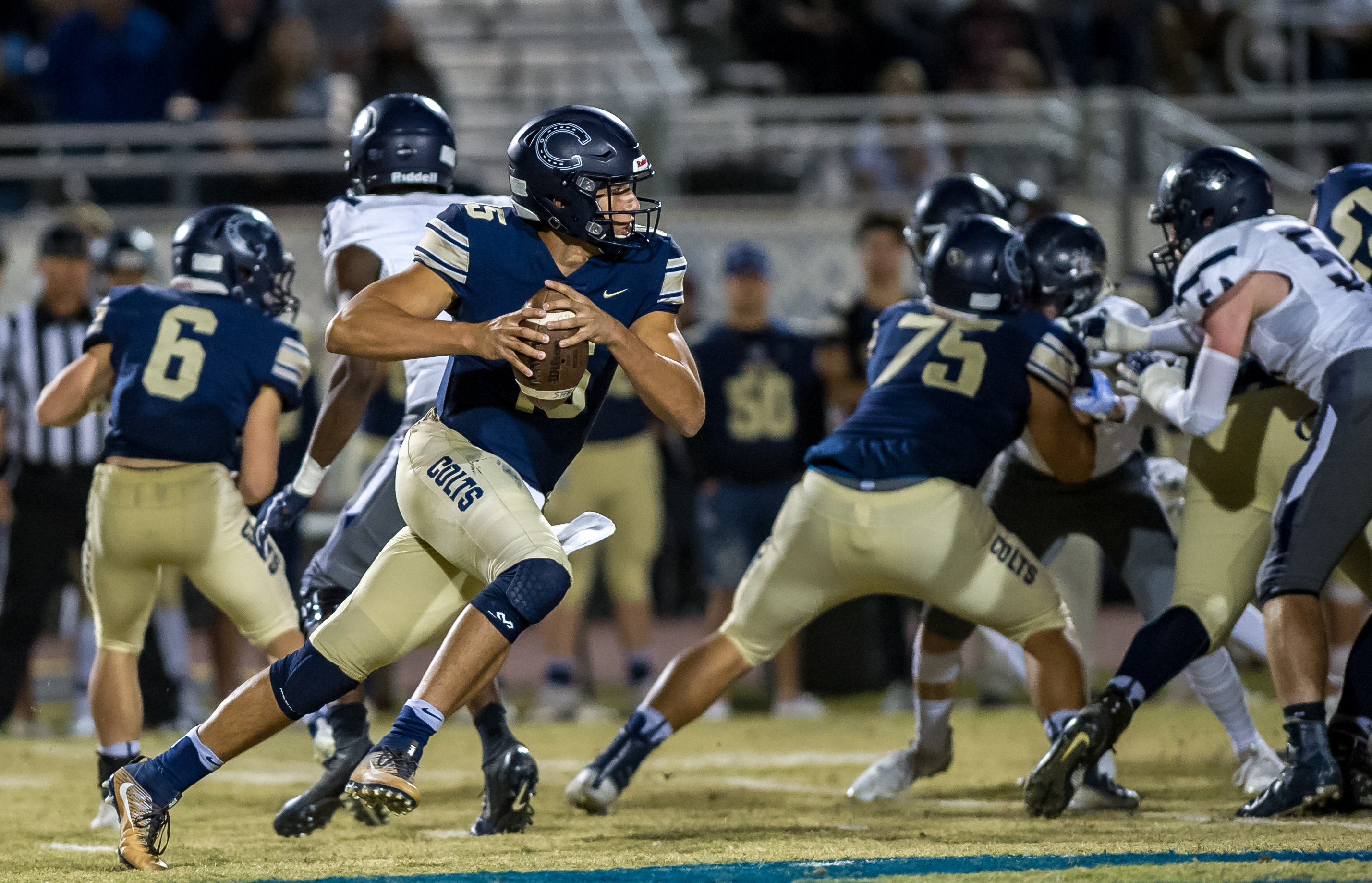higley vs casteel -9