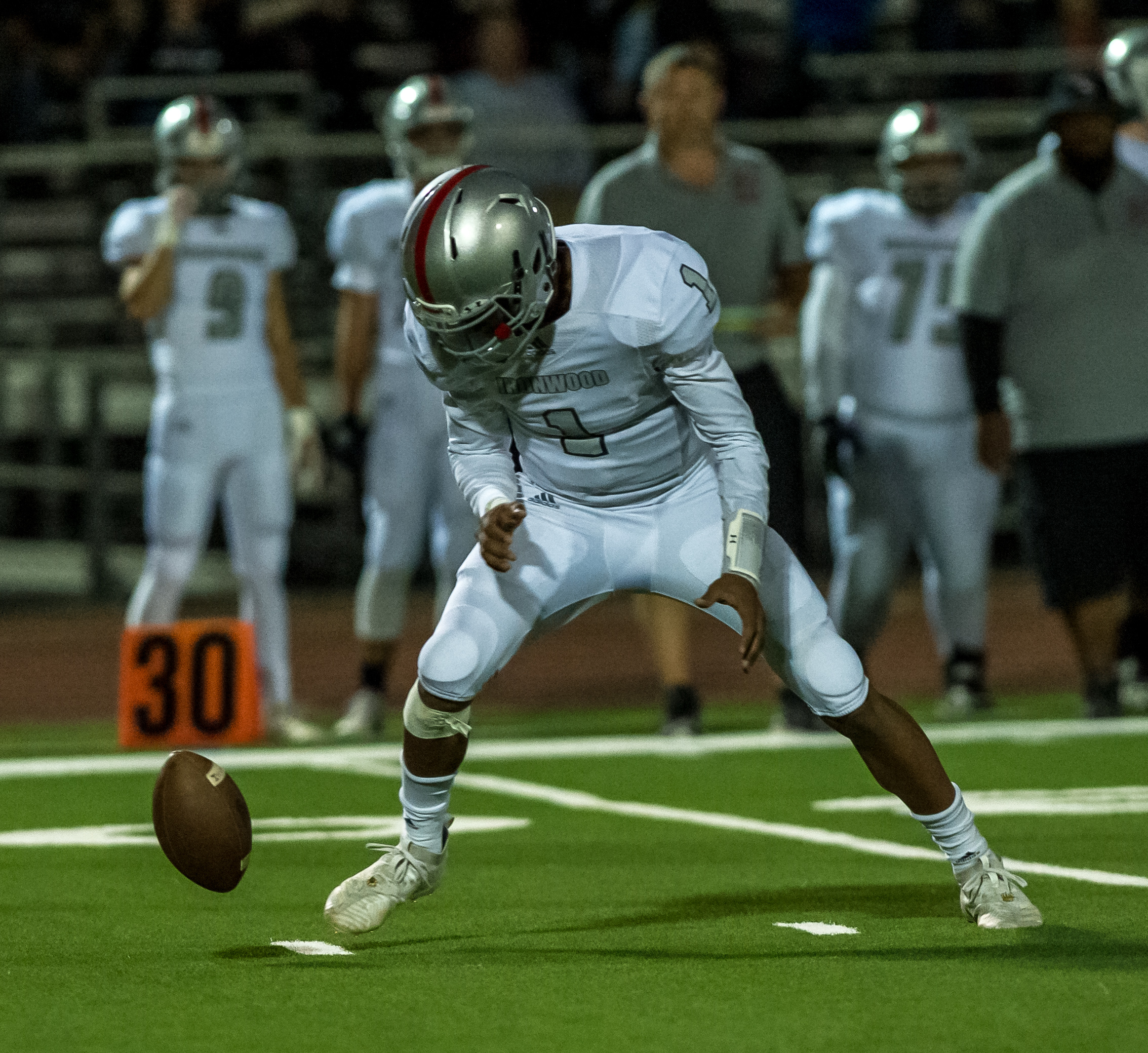 higley ironwood -31