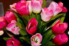 Z88_2163-Enhanced-NR