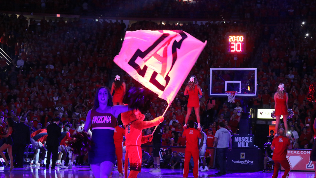 Arizona Wildcats Flag
