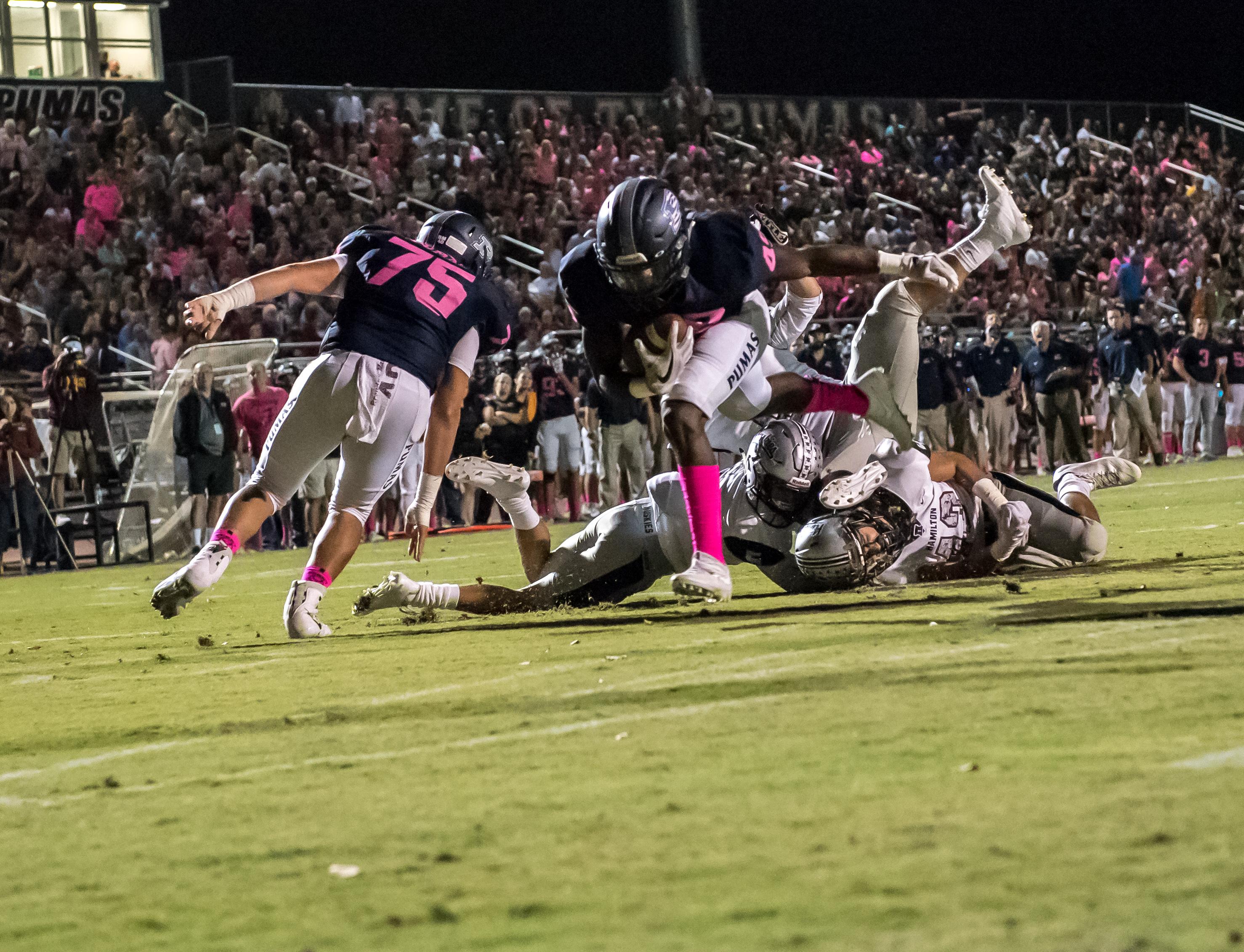HAM VS PERRY -9