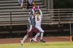 Football-Salpointe-vs-Desert-View-20211015-19