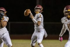 Football-Salpointe-vs-Desert-View-20211015-5
