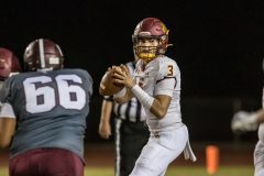 Football-Salpointe-vs-Desert-View-20211015-6