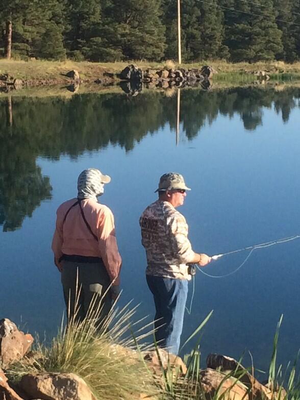 Arizona Sports News online