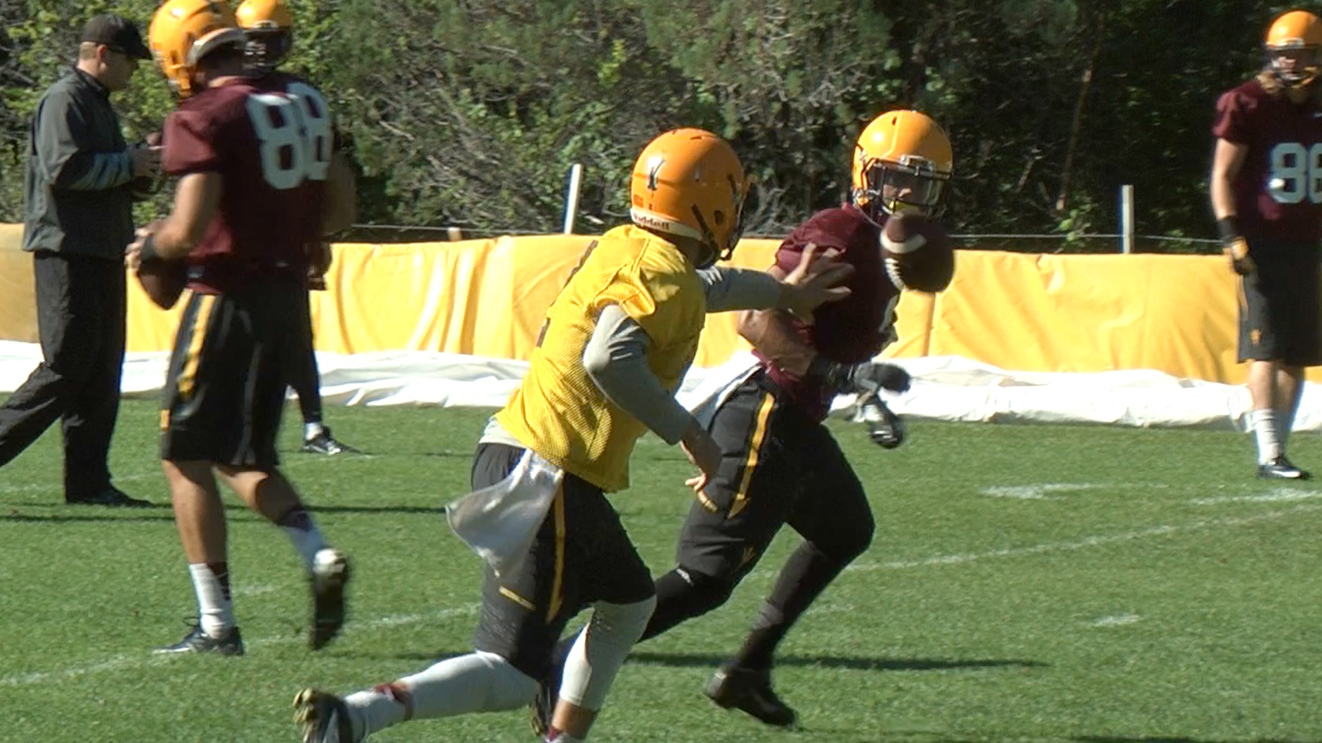 Arizona Sports News online