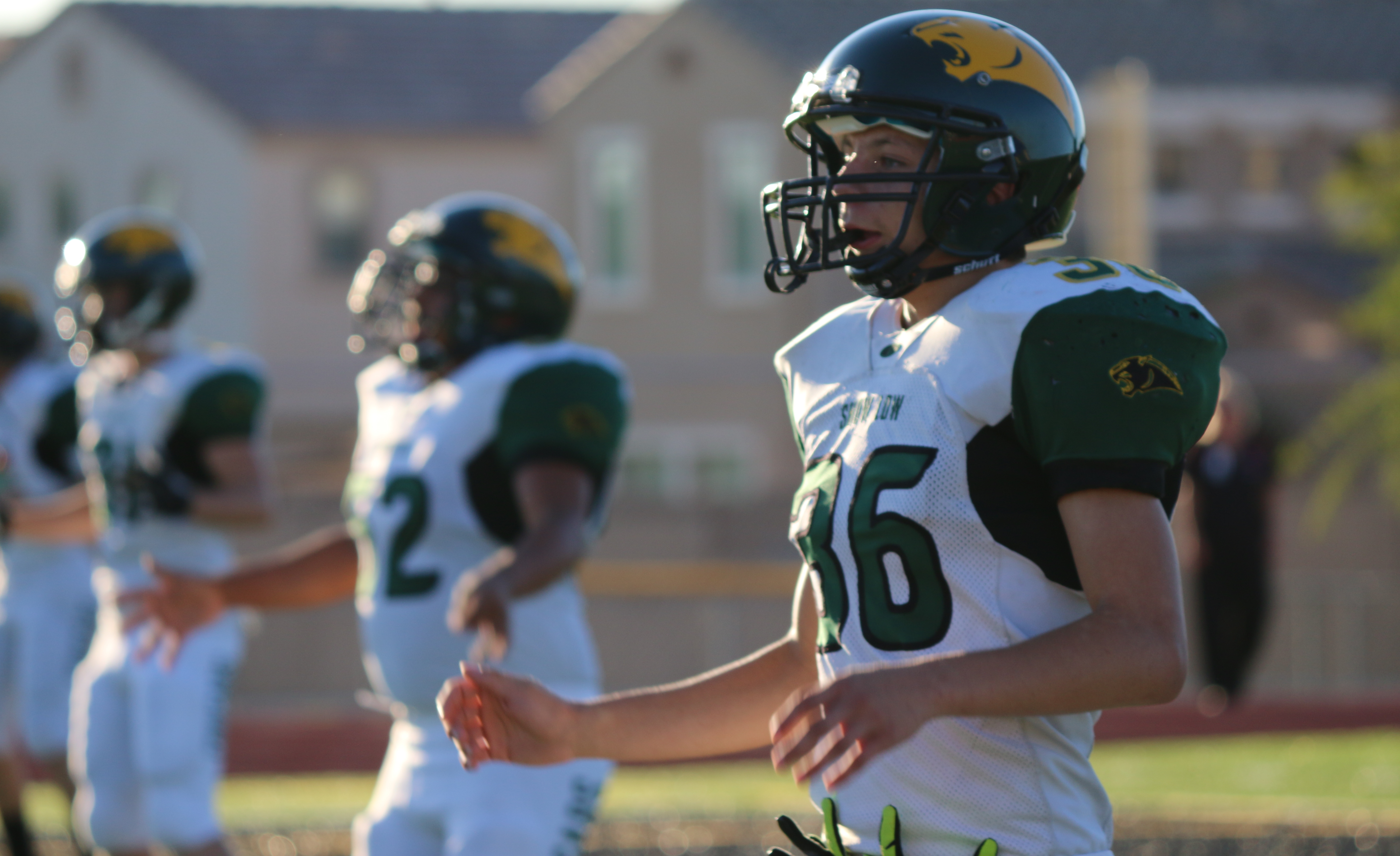 Arizona Sports News online