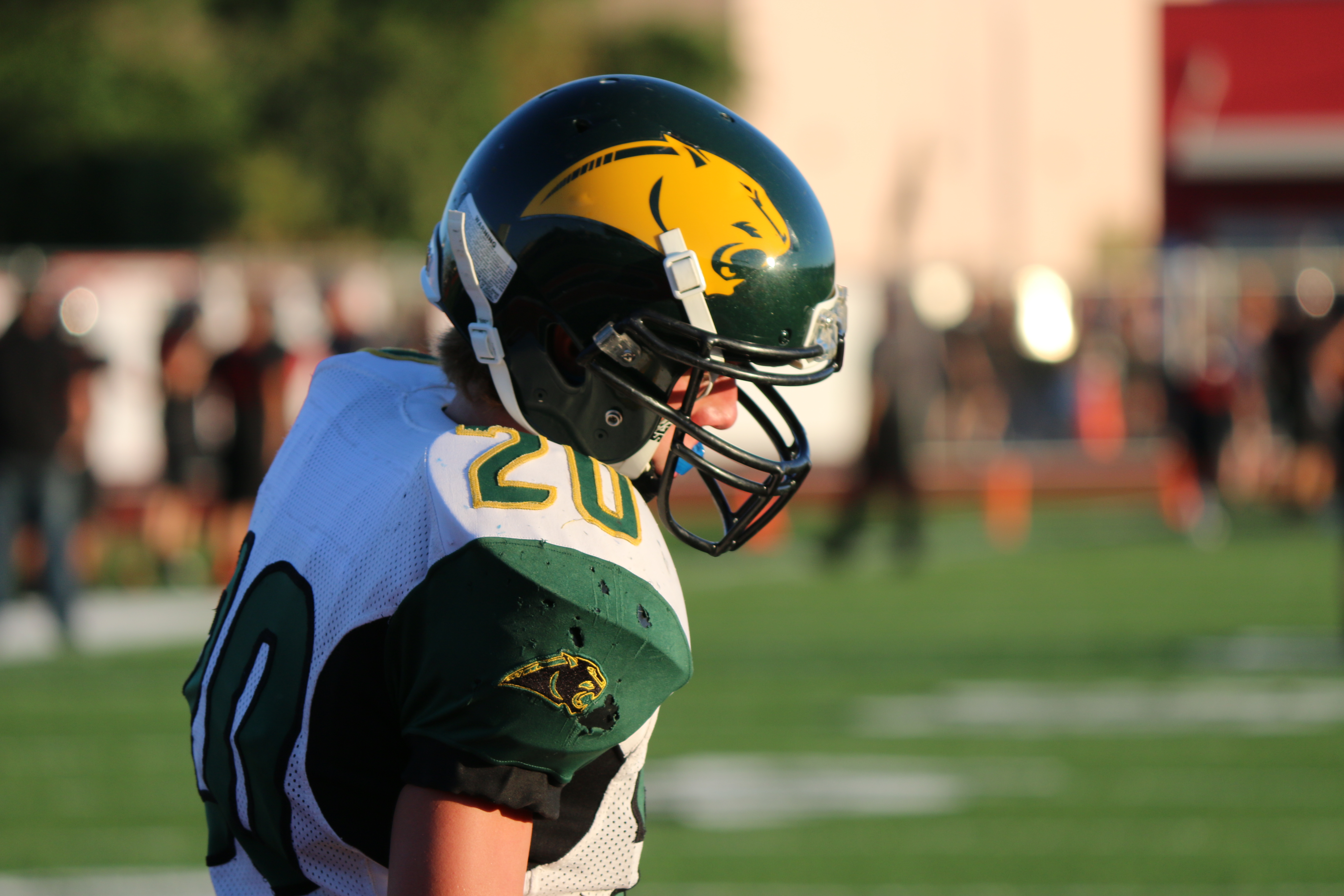 Arizona Sports News online