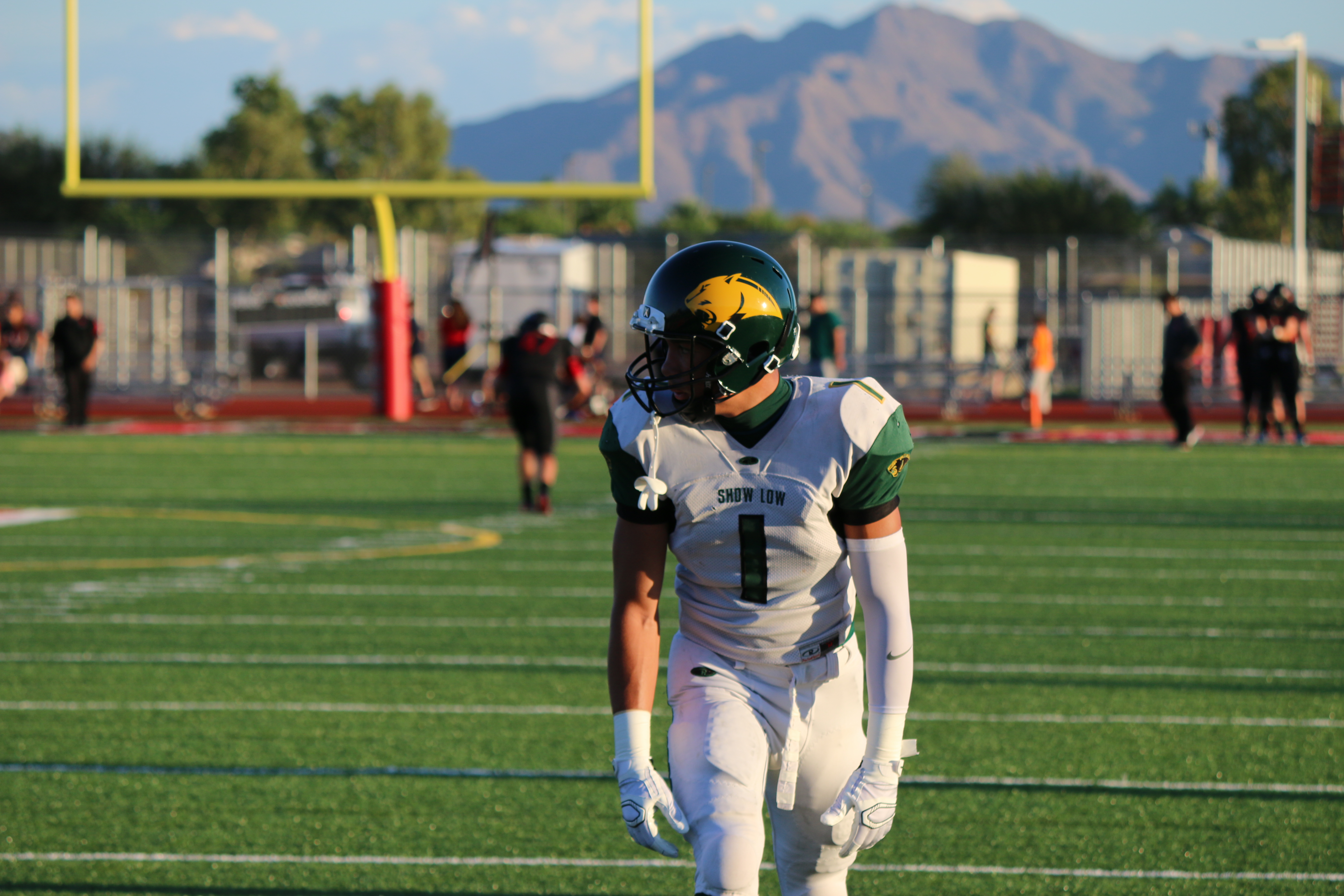 Arizona Sports News online