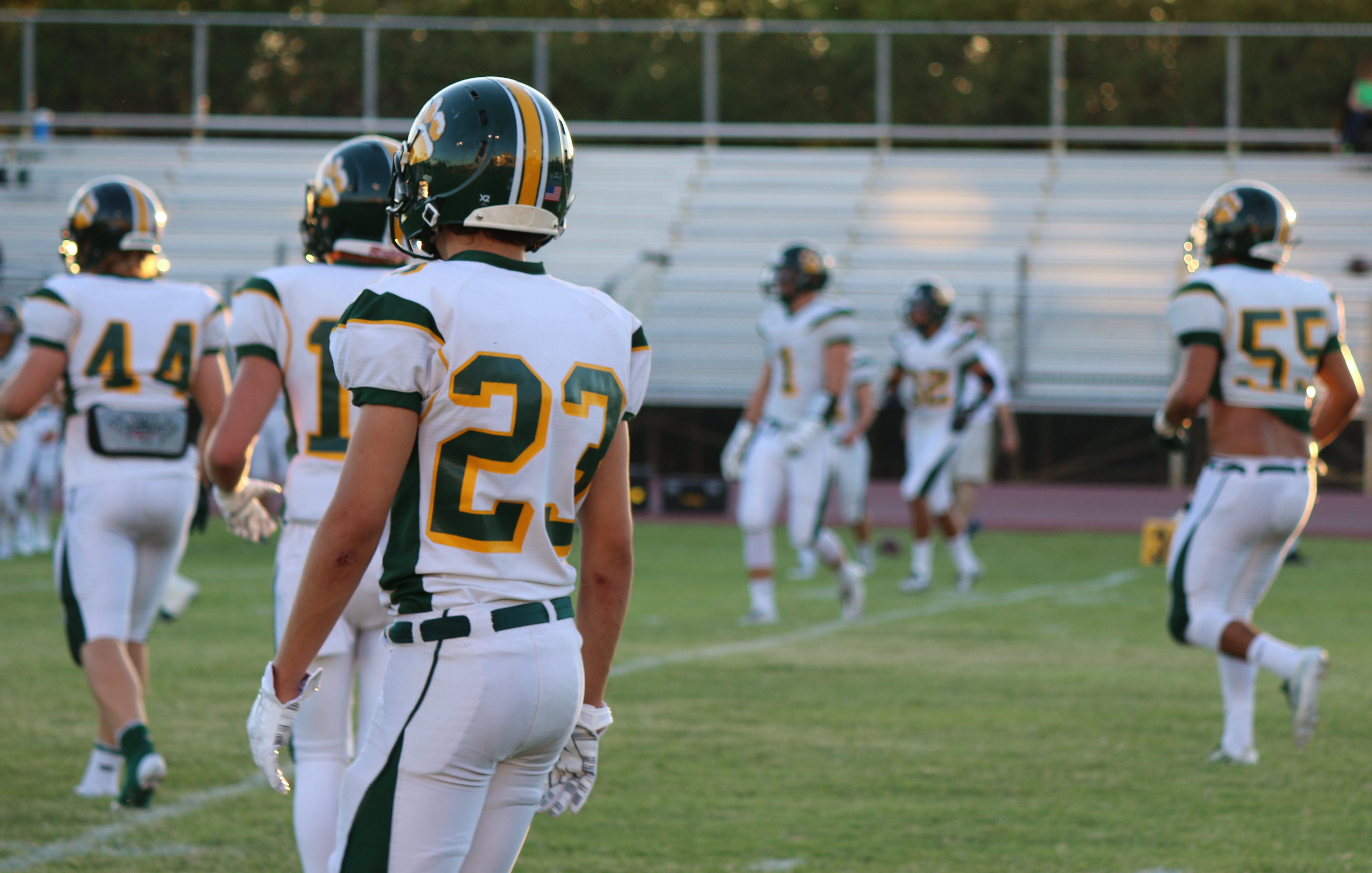 Arizona Sports News online