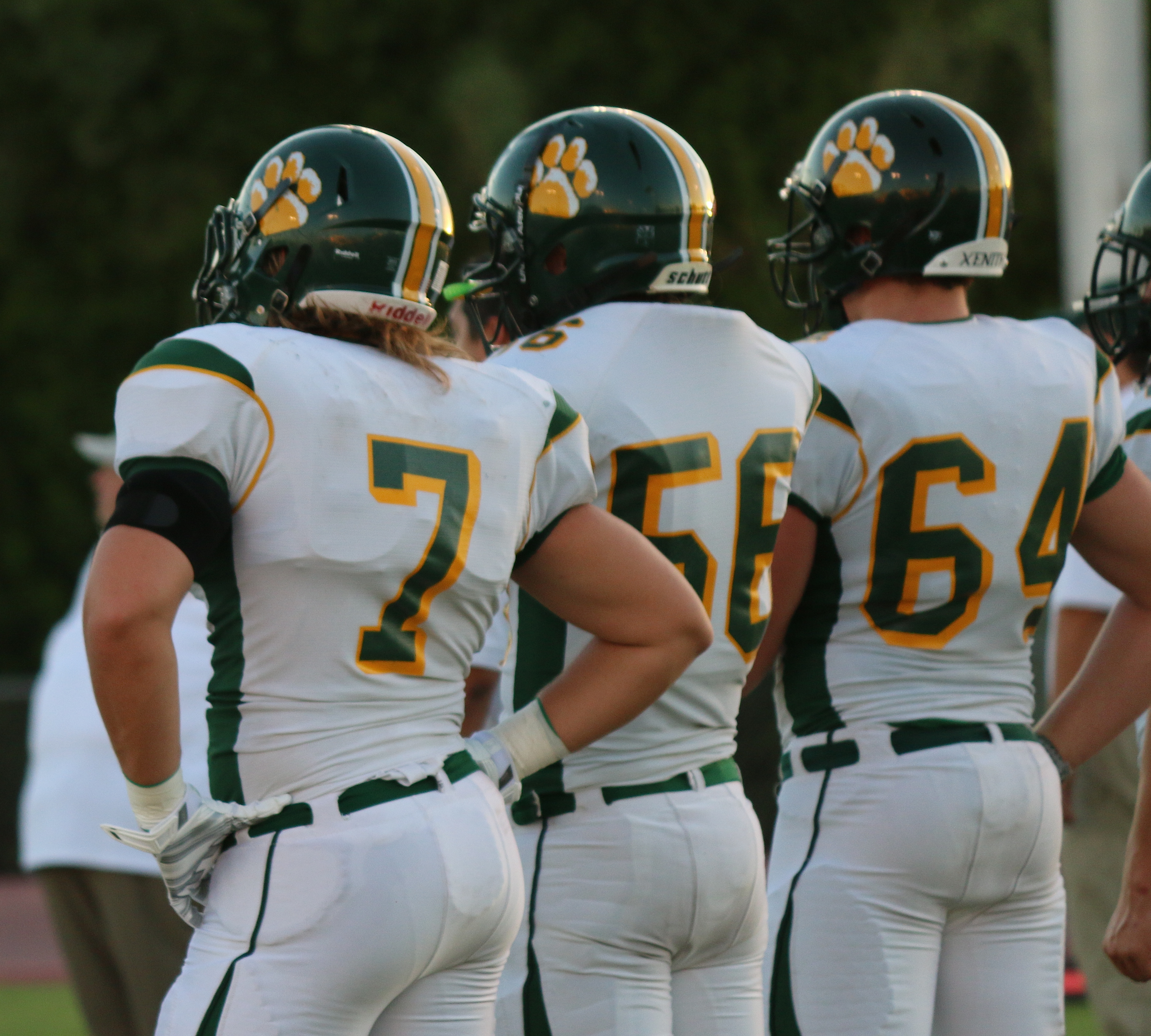 Arizona Sports News online