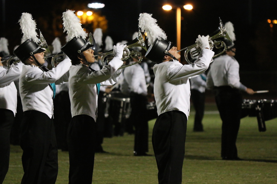 Arizona Sports News online