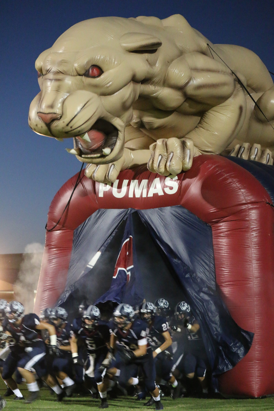 Arizona Sports News online