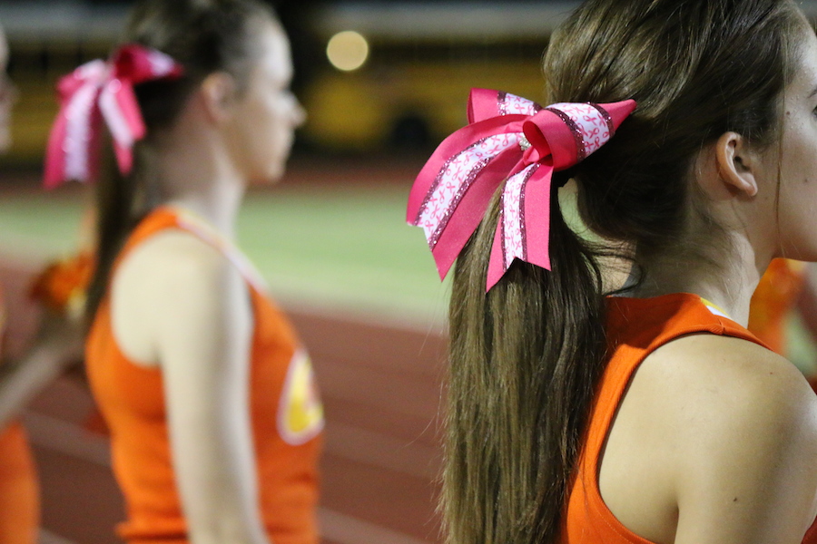 Arizona Sports News online