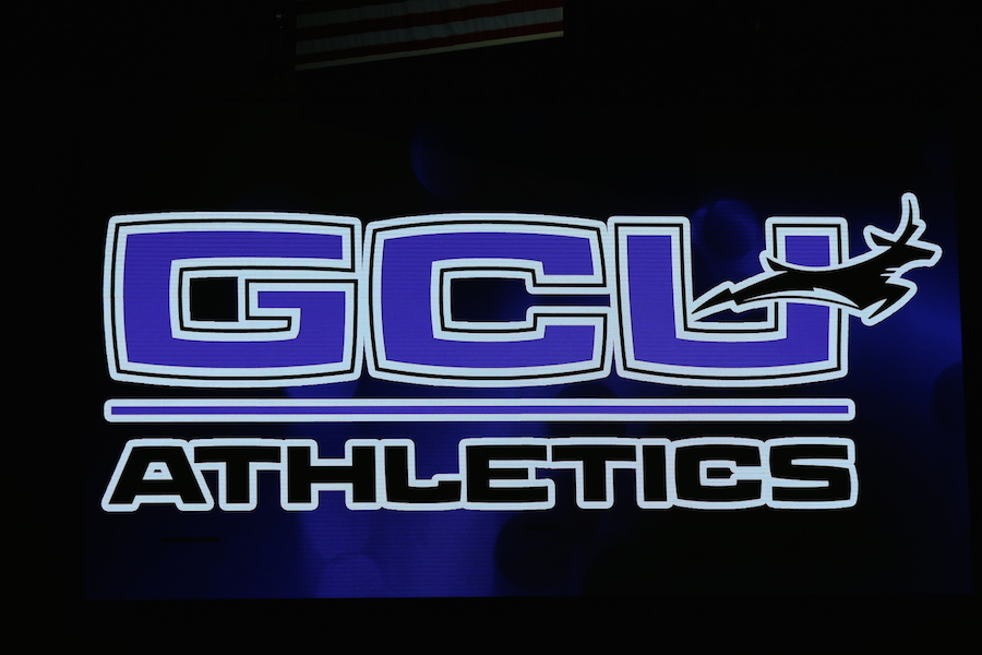 Arizona Sports News online