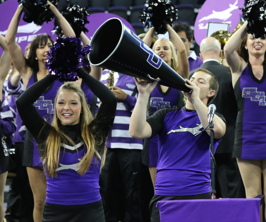 Arizona Sports News online