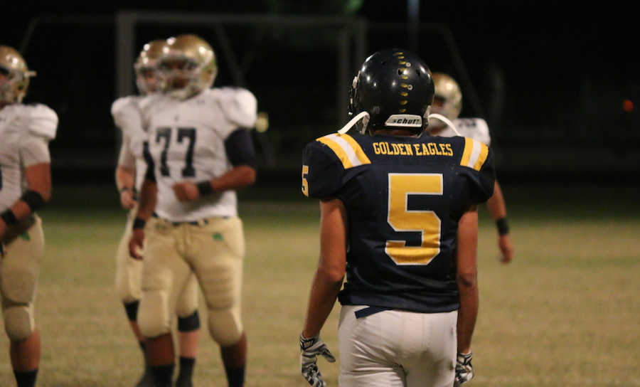 Arizona Sports News online