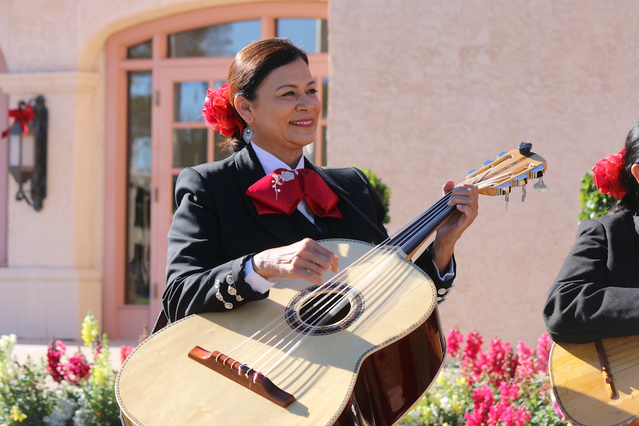 Arizona Sports News online