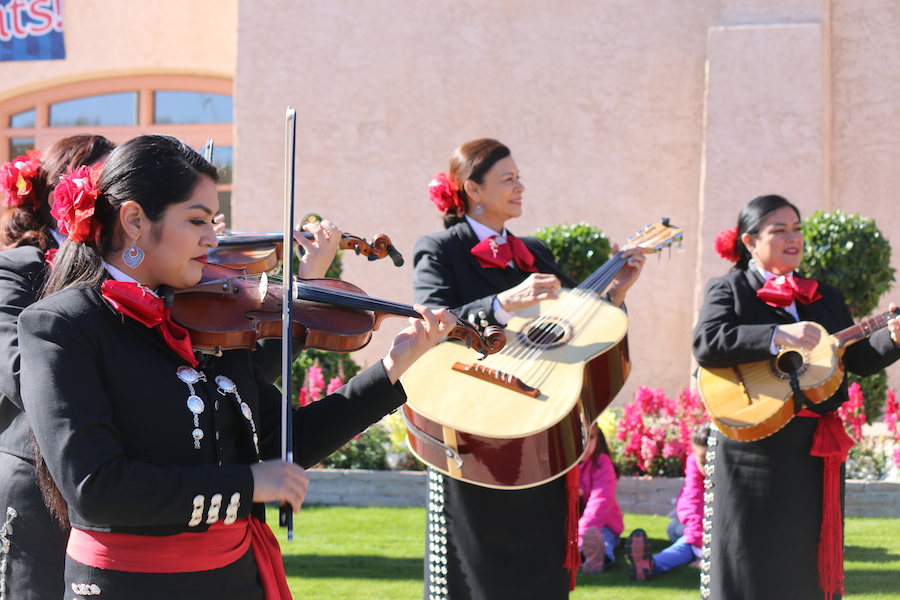 Arizona Sports News online