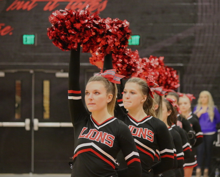 Arizona Sports News online