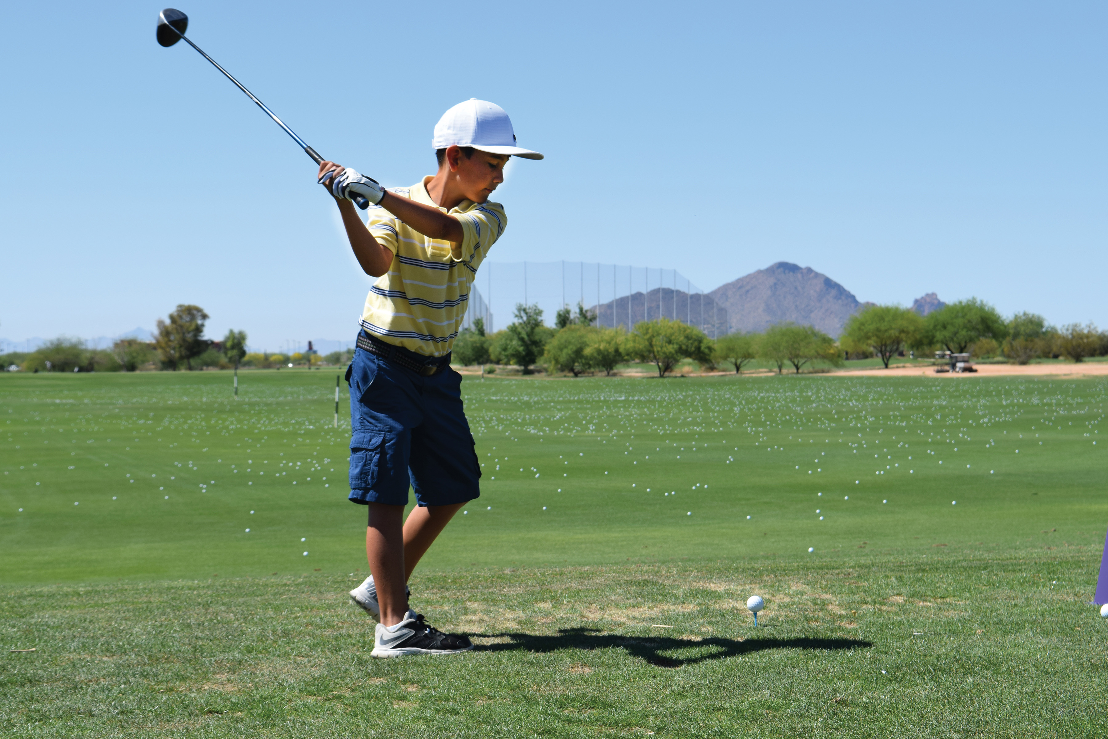 Arizona Sports News online