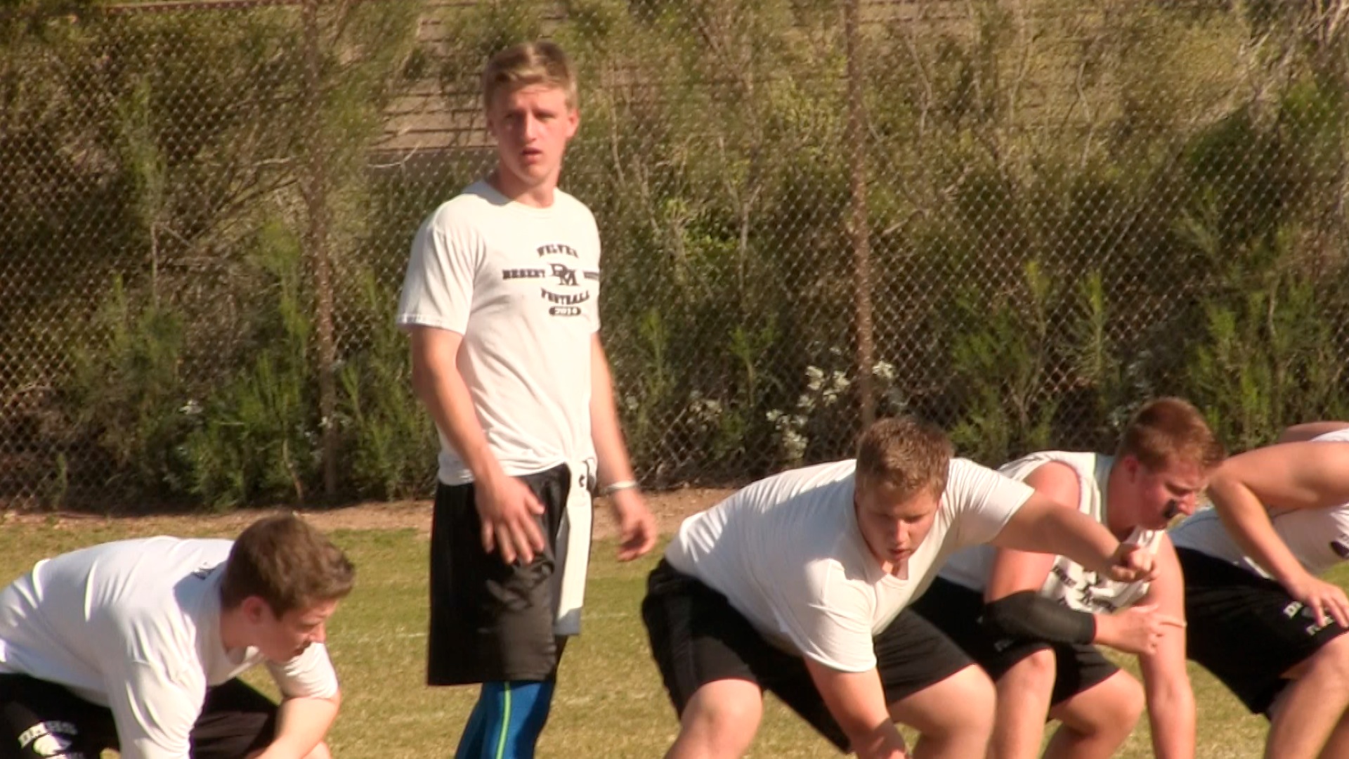 Arizona Sports News online