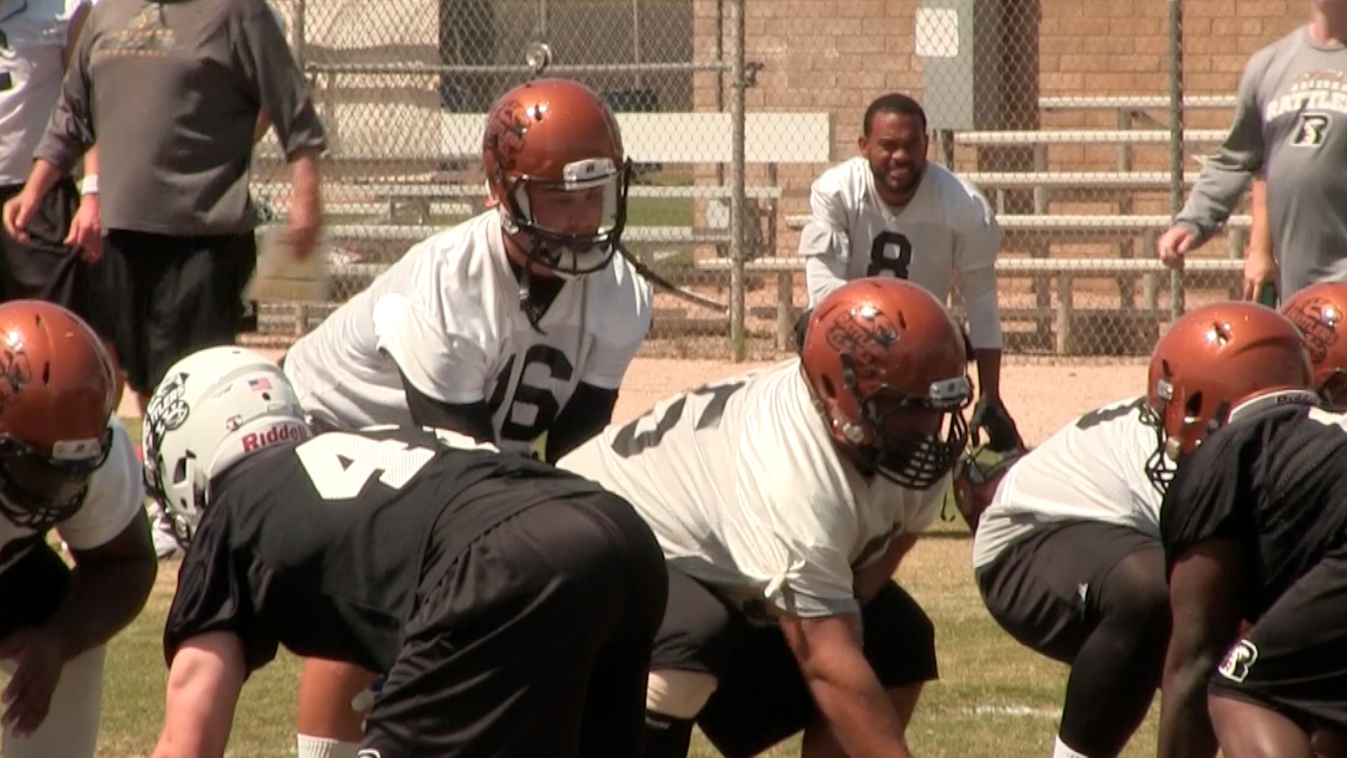 Arizona Sports News online