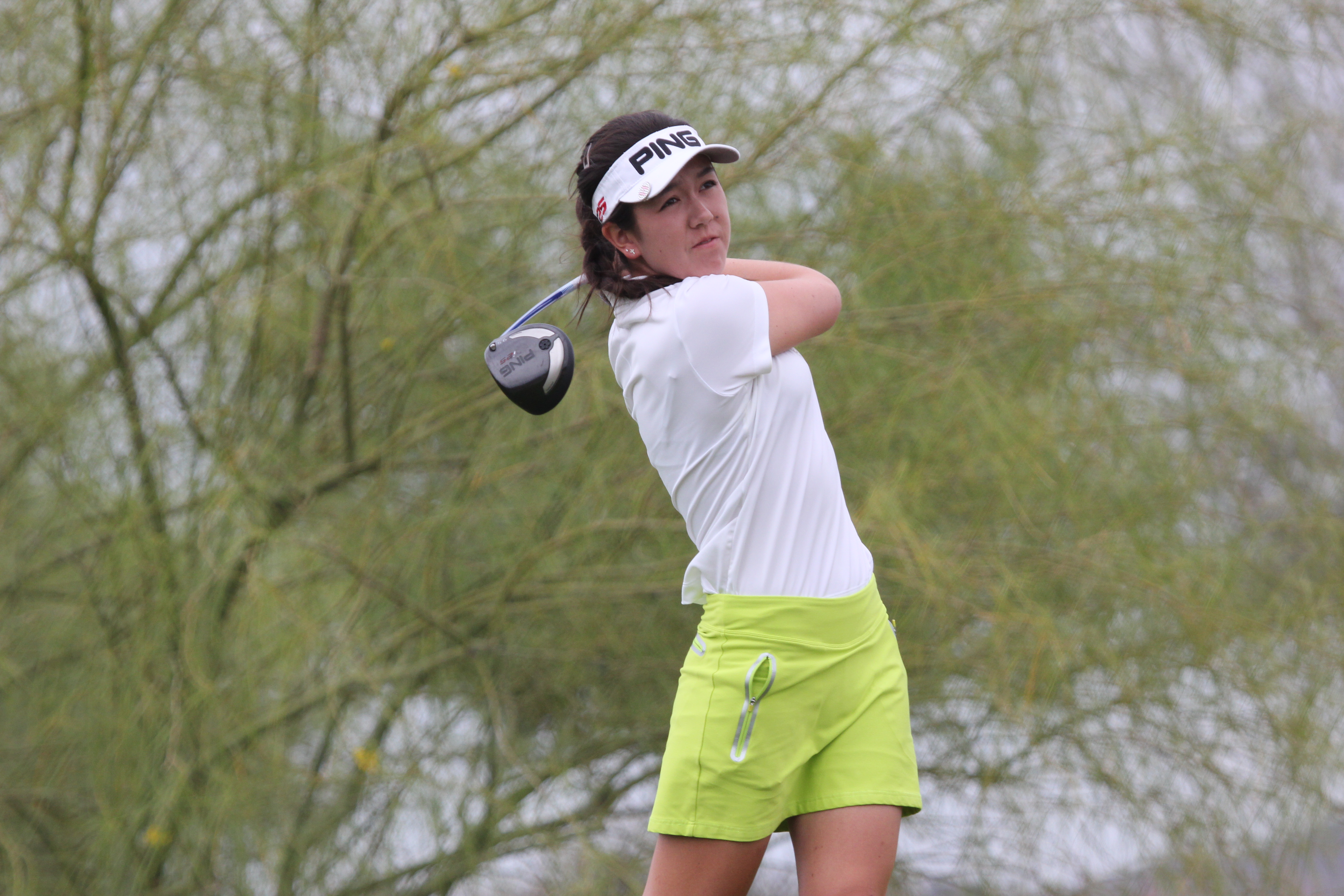 Arizona Sports News online