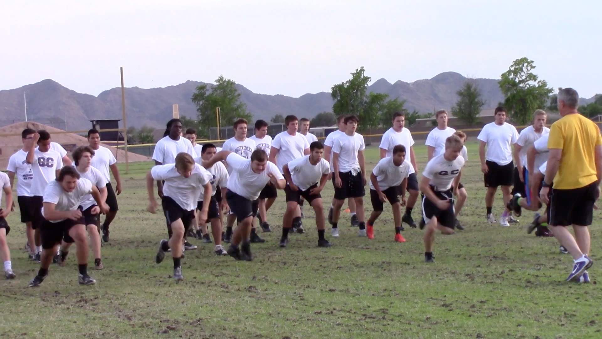 Arizona Sports News online