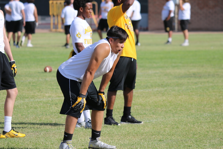 Arizona Sports News online